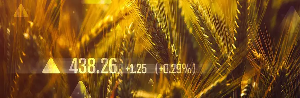 En utbränd transformator i Ukraina.